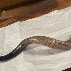 38” inch shofar